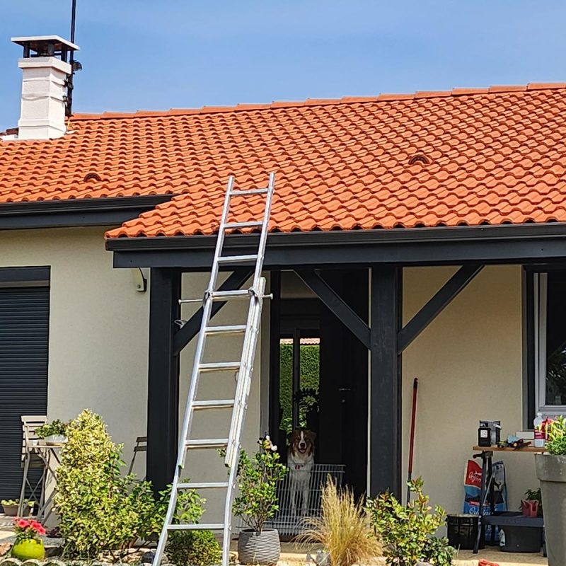 WhatsApp Image 2025-08-27 à 16.10.56_81390d4b