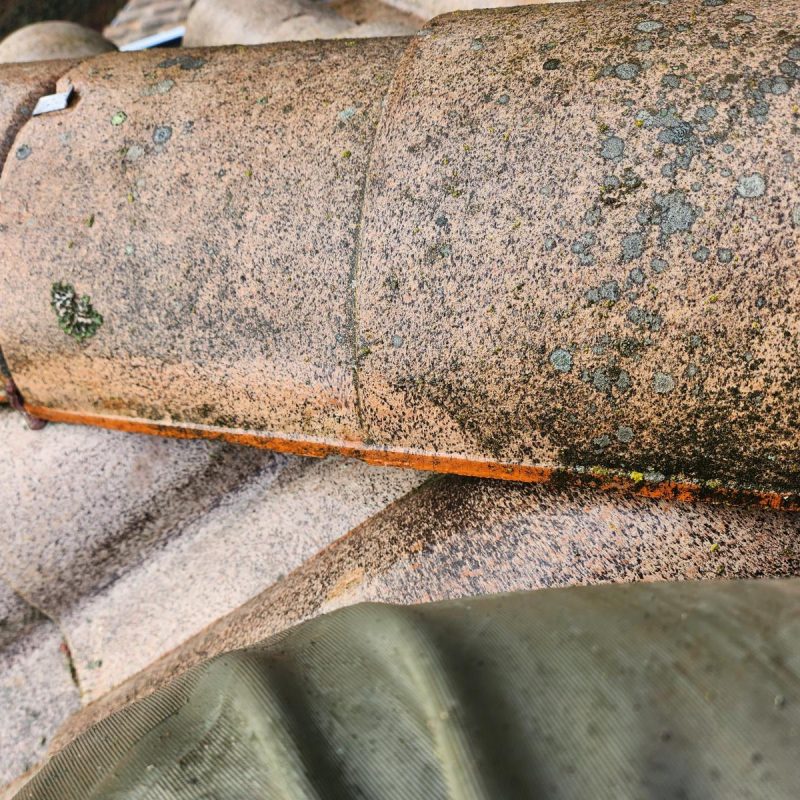 WhatsApp Image 2025-08-27 à 16.11.08_1a30cf10