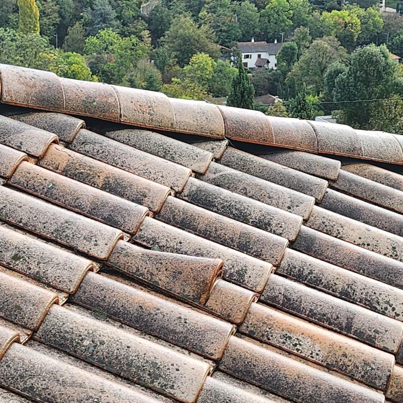 WhatsApp Image 2025-08-27 à 16.11.16_5475d4a7