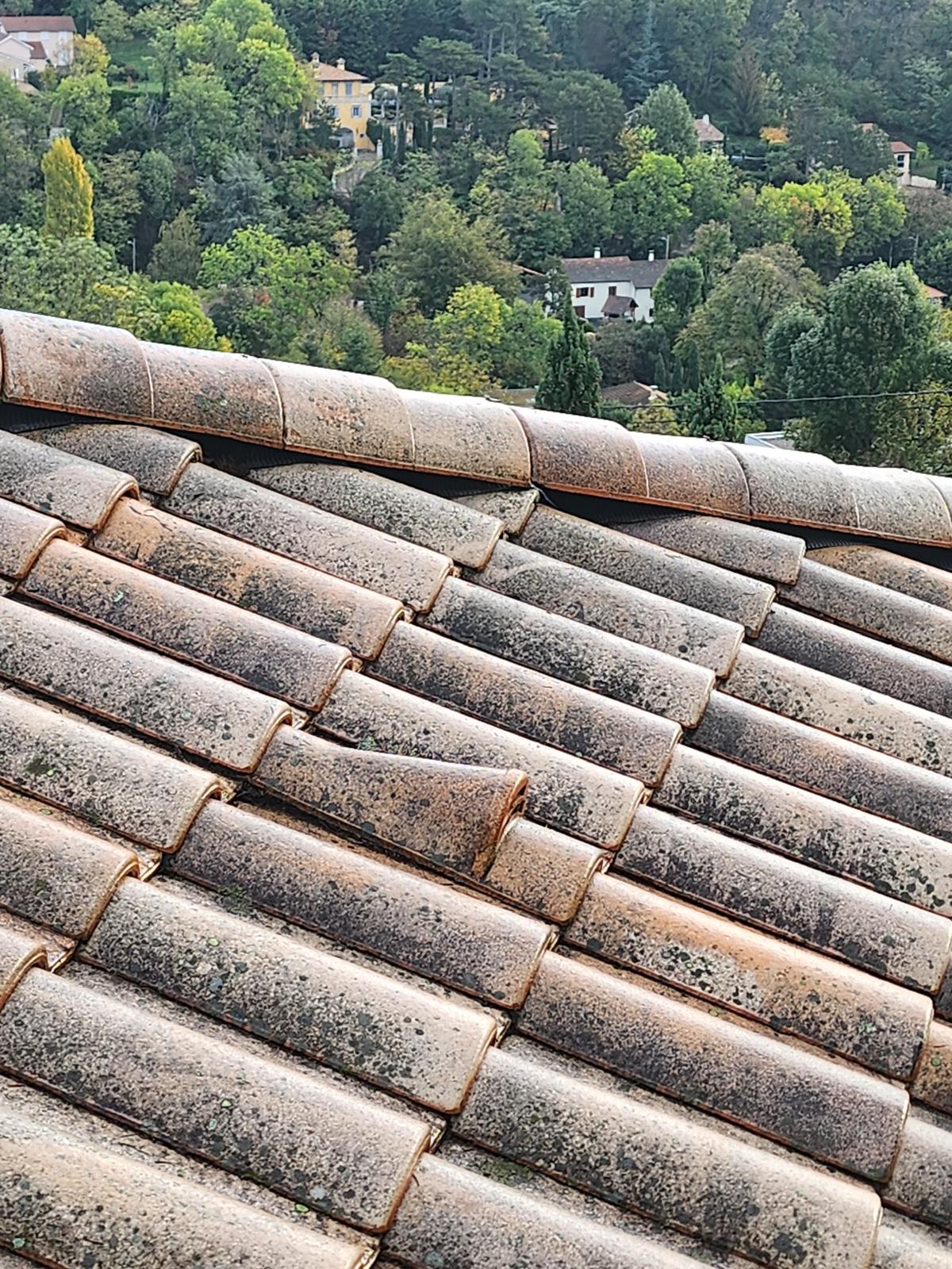 WhatsApp Image 2025-08-27 à 16.11.16_5475d4a7